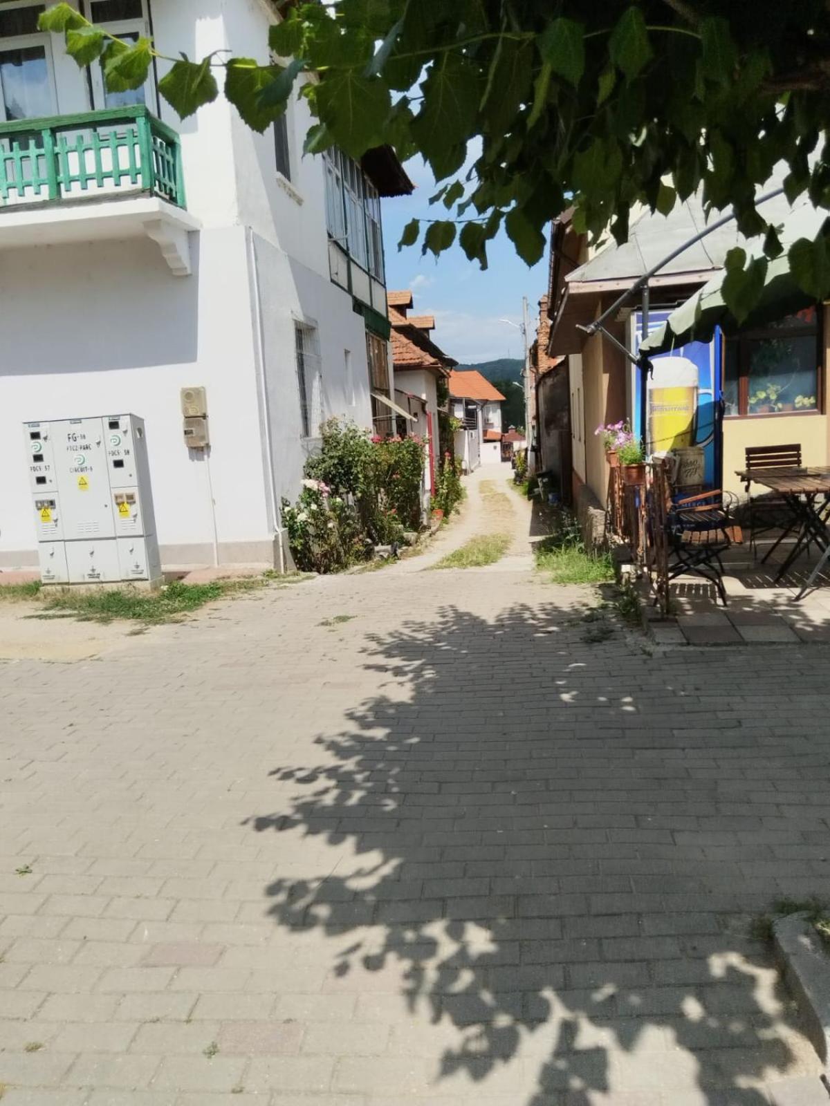 Urbanist Guest House Călimăneşti Εξωτερικό φωτογραφία